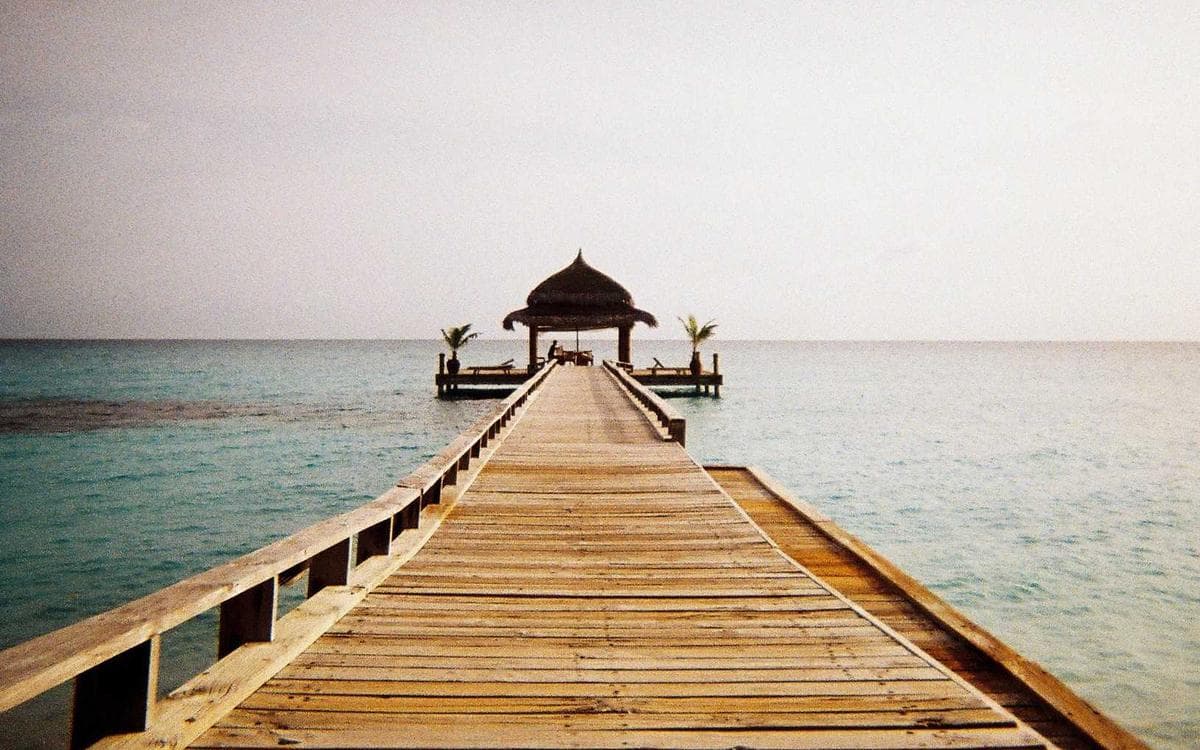 ތެޔޮ ޕްލެޓްފޯމެއް